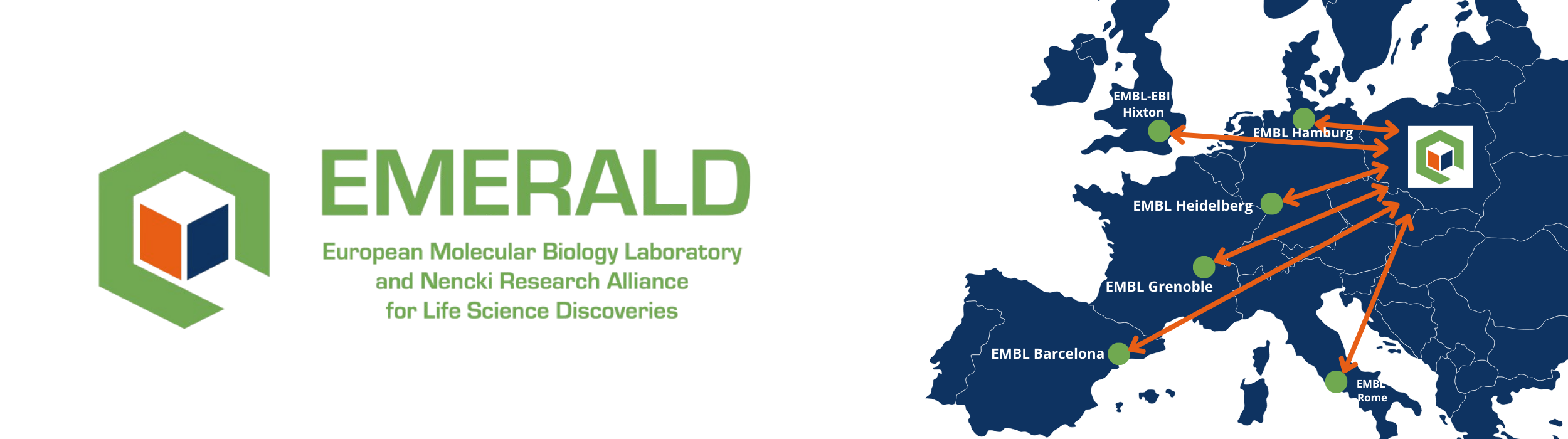 Network visualisation